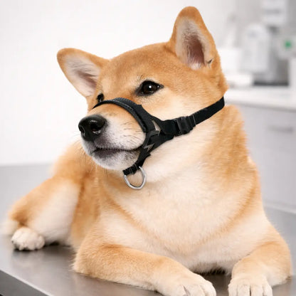 Dog Muzzle Breathable | Anti-Barking & Bite Protection