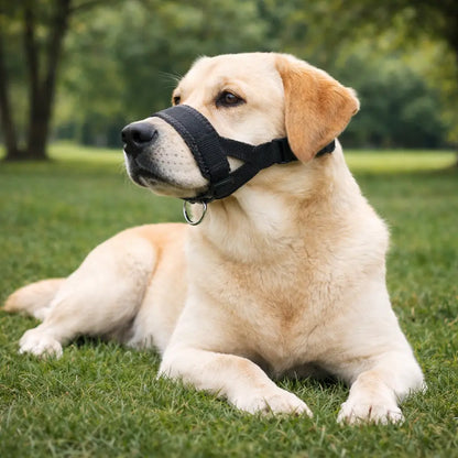 Dog Muzzle Breathable | Anti-Barking & Bite Protection