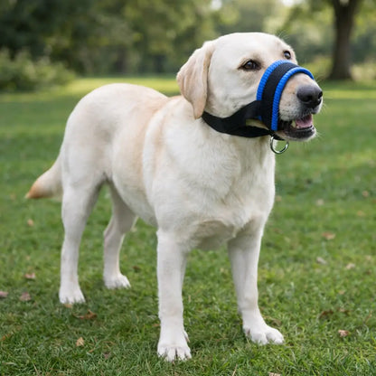 Dog Muzzle Breathable | Anti-Barking & Bite Protection