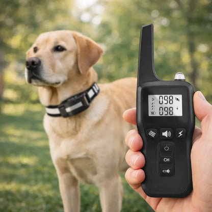 Dog Collar | Training & Anti-Bark Training with Vibration & Sound