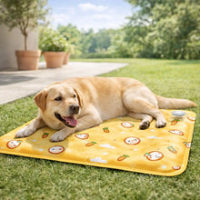 Cooling mat for dogs | Ice pad made of sturdy PVC
