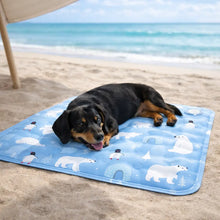 Cooling mat for dogs | Ice pad made of sturdy PVC