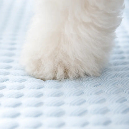 Cooling Dog Bed Summer | with Neck Roll