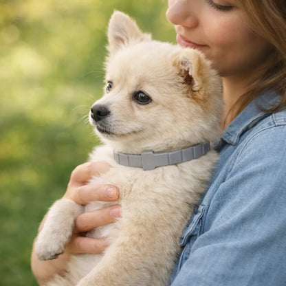 Collier anti-tiques naturel pour chien | Protection jusqu'à 8 mois
