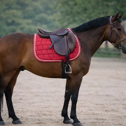 Pferd Sattelunterlage Reiten | Druckentlastend