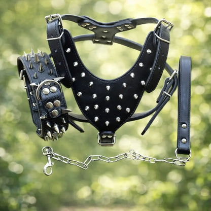 Leather Dog Harness | Adjustable Spiked Harness for Dogs