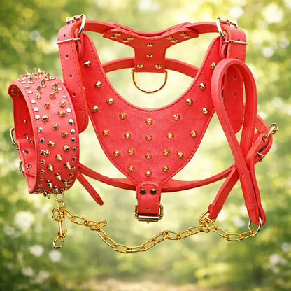 Leather Dog Harness | Adjustable Spiked Harness for Dogs