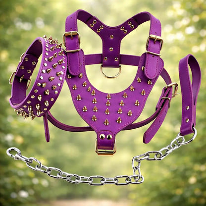 Leather Dog Harness | Adjustable Spiked Harness for Dogs