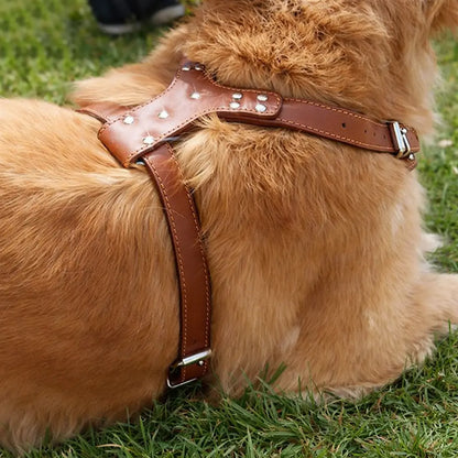 Leather Dog Harness | Adjustable Spiked Harness for Dogs