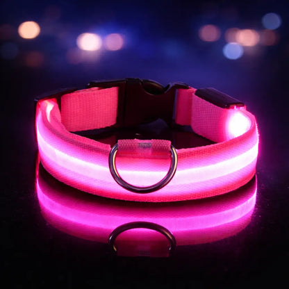 Collier lumineux LED pour chien | Lumière clignotante pour la nuit