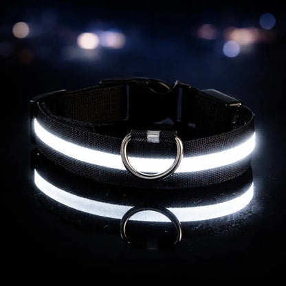 Collier lumineux LED pour chien | Lumière clignotante pour la nuit