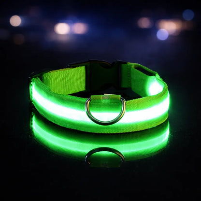 Collier lumineux LED pour chien | Lumière clignotante pour la nuit