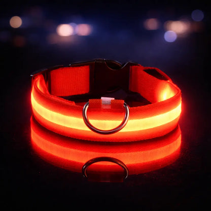 Collier lumineux LED pour chien | Lumière clignotante pour la nuit