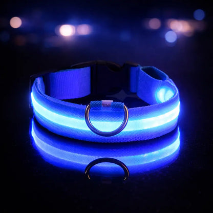 Collier lumineux LED pour chien | Lumière clignotante pour la nuit