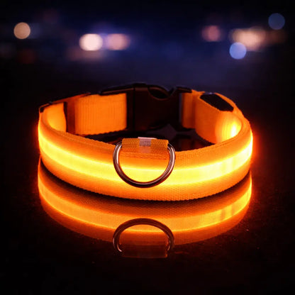 Collier lumineux LED pour chien | Lumière clignotante pour la nuit