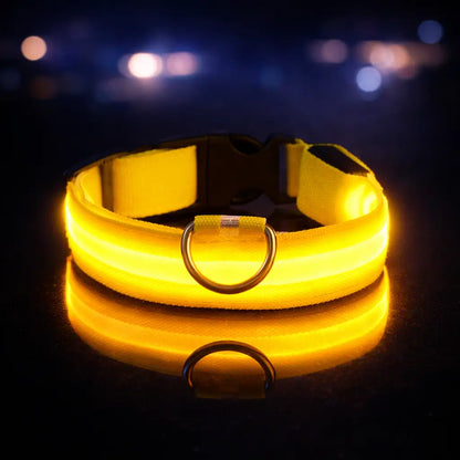 Collier lumineux LED pour chien | Lumière clignotante pour la nuit