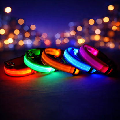 Collier lumineux LED pour chien | Lumière clignotante pour la nuit