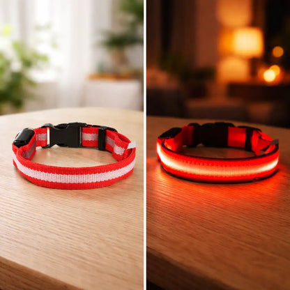 Collier lumineux LED pour chien | Lumière clignotante pour la nuit