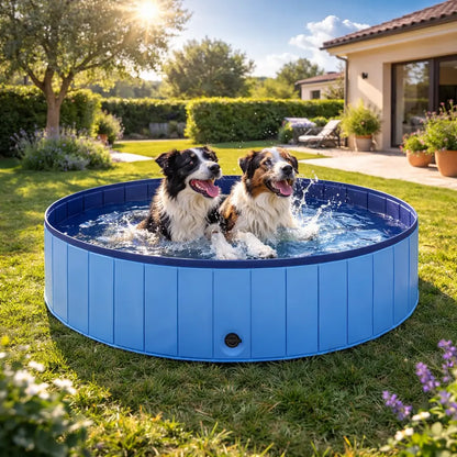 Piscine pliable en PVC pour chiens | Antidérapante & robuste