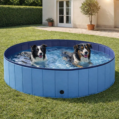 Piscine pliable en PVC pour chiens | Antidérapante & robuste
