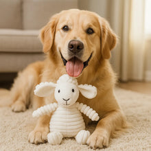 Jouet doux pour chien à câliner & pour occuper