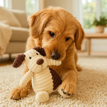 Jouet doux pour chien à câliner & pour occuper