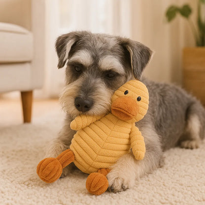 Weiches Hundespielzeug zum Kuscheln & zur Beschäftigung
