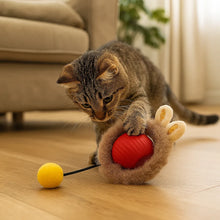 Interactive Cat Toy with Movement | For Active, Happy House Cats