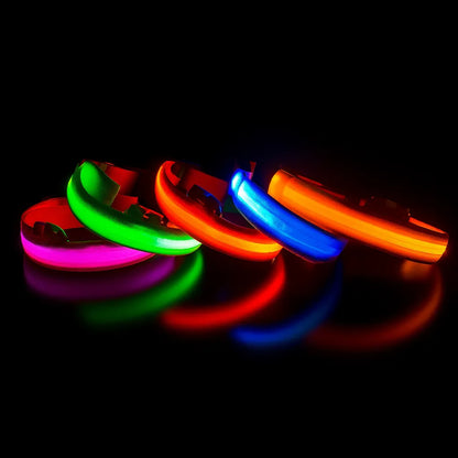 LED Hundehalsband mit USB – Für mehr Sichtbarkeit bei Nacht und Sicherheit beim Gassigehen
