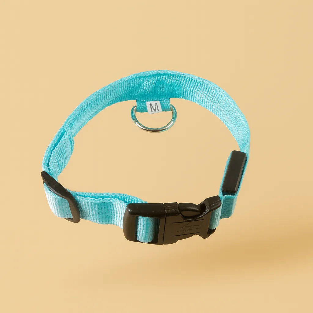 LED Hundehalsband mit USB – Für mehr Sichtbarkeit bei Nacht und Sicherheit beim Gassigehen