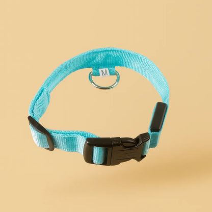 LED Hundehalsband mit USB – Für mehr Sichtbarkeit bei Nacht und Sicherheit beim Gassigehen