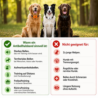 Antibellhalsband Hund | Erziehungshalsband mit Fernbedienung