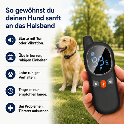 Antibellhalsband Hund | Erziehungshalsband mit Fernbedienung