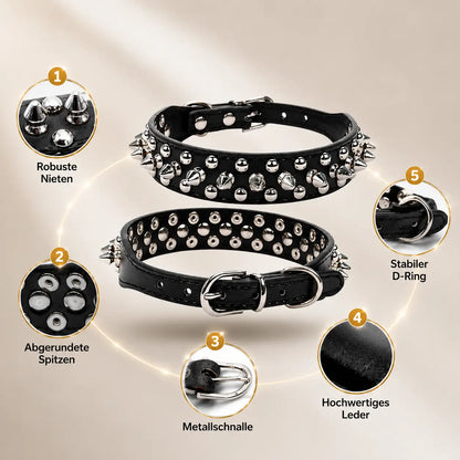 Leder Hundehalsband mit Nieten & Stacheln | stilvoll & robust