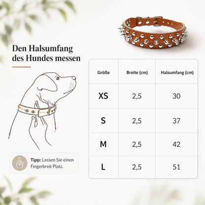 Leder Hundehalsband mit Nieten & Stacheln | stilvoll & robust