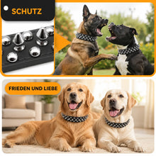 Leder Hundehalsband mit Nieten & Stacheln | stilvoll & robust
