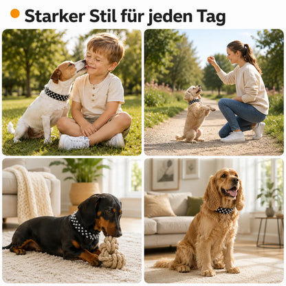 Leder Hundehalsband mit Nieten & Stacheln | stilvoll & robust