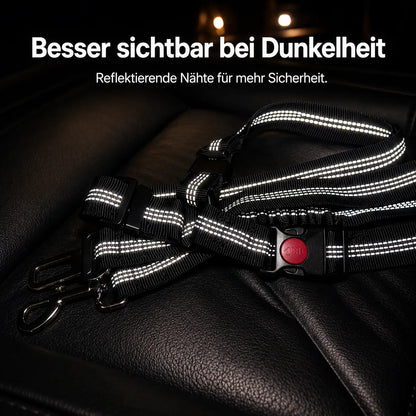 SafeRide – Der verstellbare Sicherheitsgurt für Hunde im Auto