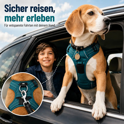 SafeRide – Der verstellbare Sicherheitsgurt für Hunde im Auto