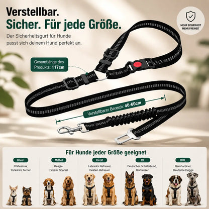 SafeRide – Der verstellbare Sicherheitsgurt für Hunde im Auto