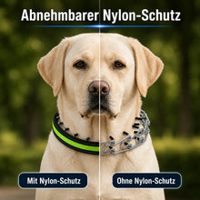 Anti-Zug Hundehalsband | Sanfte Kontrolle & Training