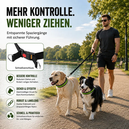 Anti-Zug Hundehalsband | Sanfte Kontrolle & Training