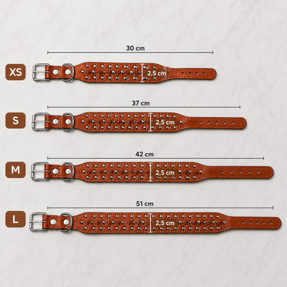 Leder Hundehalsband mit Nieten & Stacheln | stilvoll & robust