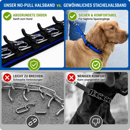 Anti-Zug Hundehalsband | Sanfte Kontrolle & Training