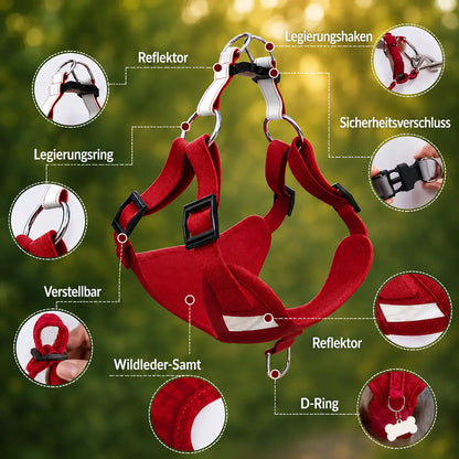 Dog harness with leash | adjustable, lightweight & safe
