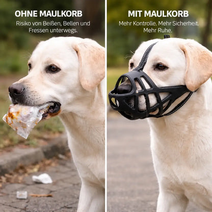 Maulkorb Hund | Atmungsaktiv & verstellbar für Training & Alltag