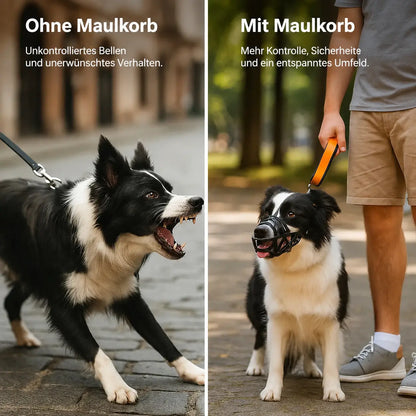 Maulkorb Hund | Atmungsaktiv & verstellbar für Training & Alltag