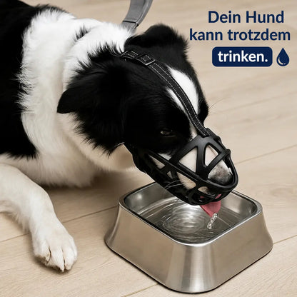 Maulkorb Hund | Atmungsaktiv & verstellbar für Training & Alltag