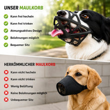 Maulkorb Hund | Atmungsaktiv & verstellbar für Training & Alltag