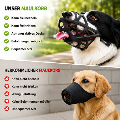 Maulkorb Hund | Atmungsaktiv & verstellbar für Training & Alltag